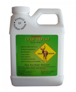 16-OZ-concentrate-bottle deer defeat